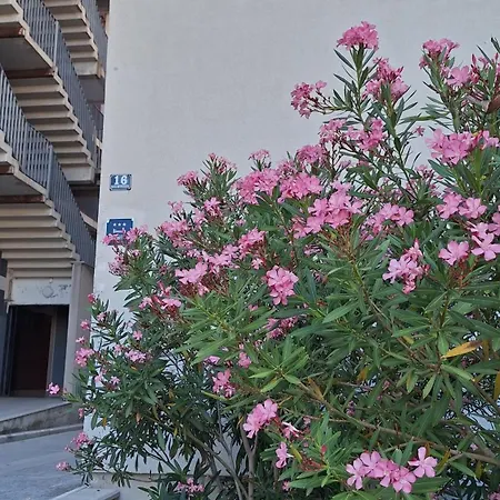 Oleandar Appartement