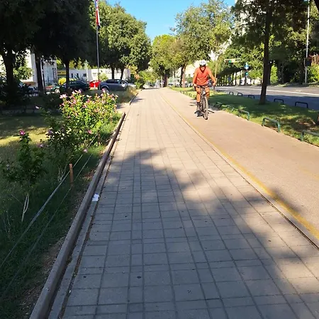 Oleandar