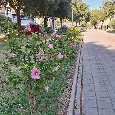 Appartement Oleandar Split